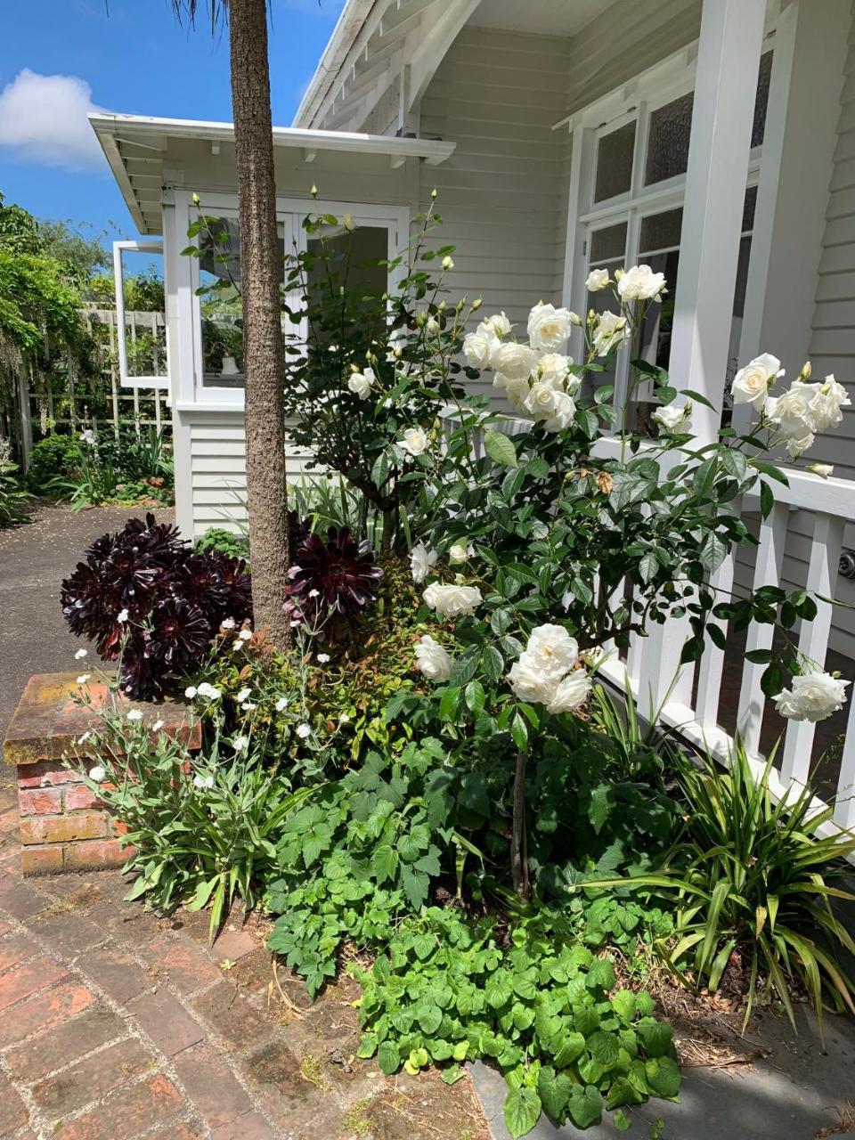 Browns Boutique Bed And Breakfast วังกานุย ภายนอก รูปภาพ